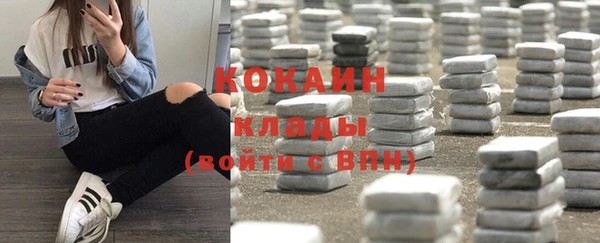 мяу мяу мука Новодвинск