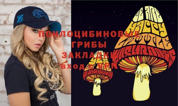 мяу мяу мука Новодвинск