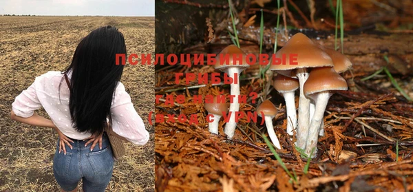каннабис Новокубанск