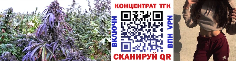kraken маркетплейс  Заозёрный  сайты даркнета наркотические препараты  ТГК концентрат 